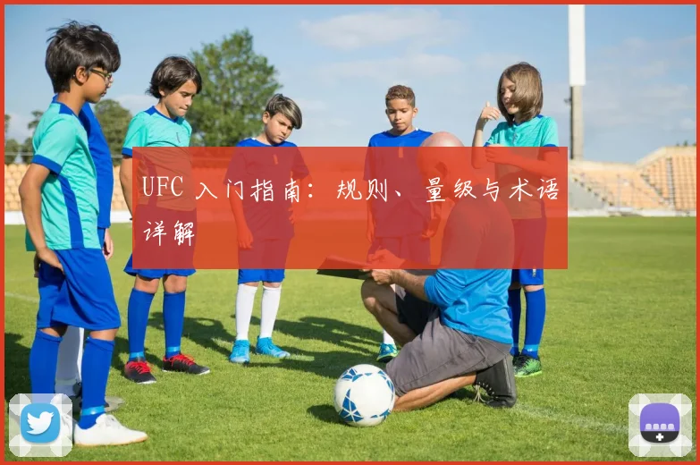 UFC 入门指南：规则、量级与术语详解